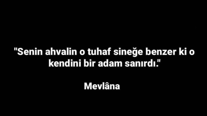 Kendini bir şey sanan insanlara tepkiniz ne olurdu?