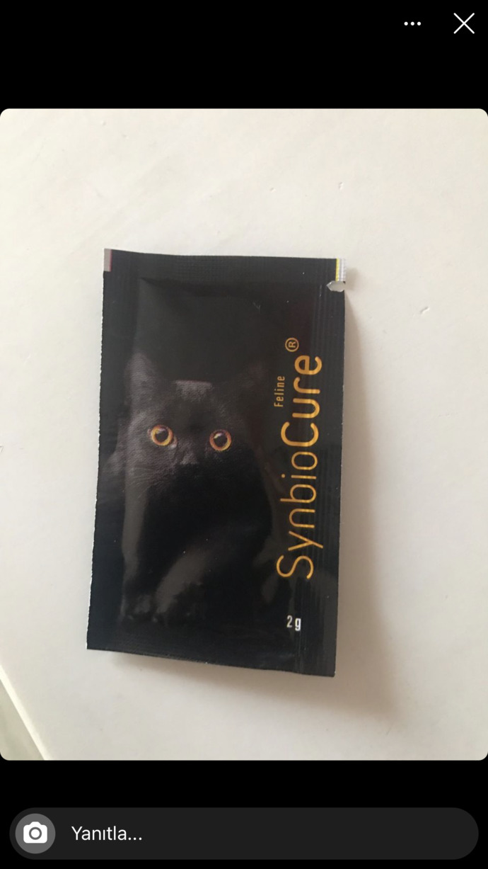 Kedi hastalıklarından anlayan veya kedisi olup aynı sorunu yaşayan varsa bakabilir mi?