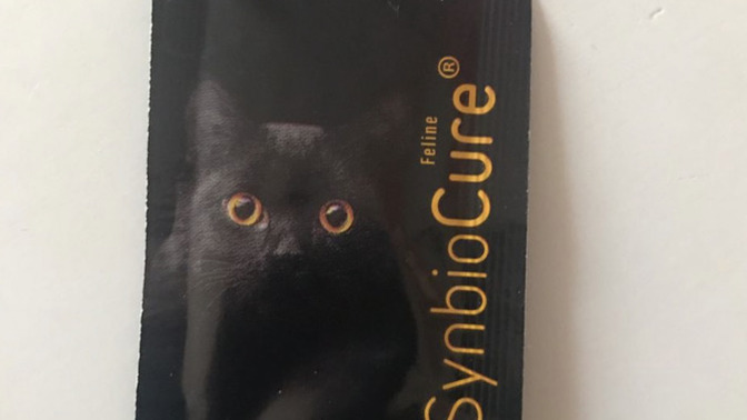 Kedi hastalıklarından anlayan veya kedisi olup aynı sorunu yaşayan varsa bakabilir mi?
