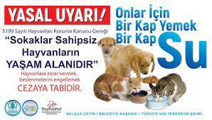 Bugün 4 Ekim Hayvanları Koruma Günü! Hayvanlar için neler yapıyorsunuz 😻?