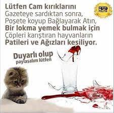 Bugün 4 Ekim Hayvanları Koruma Günü! Hayvanlar için neler yapıyorsunuz 😻?
