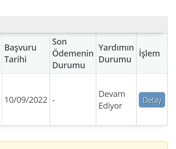 Aile destek yardımına başvurdum geçen ay onaylandı ama böyle gözüküyor? sizce bu ay yatarmi?