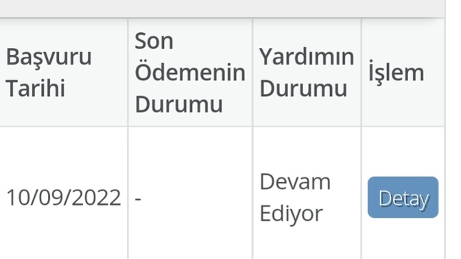 Aile destek yardımına başvurdum geçen ay onaylandı ama böyle gözüküyor? sizce bu ay yatarmi?