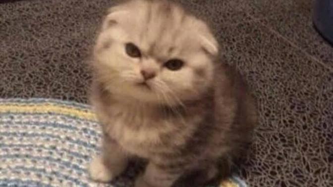 Karşı cinsle argo konuşmak kabalık mı?