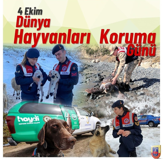 4 Ekim Dünya Hayvanlar Günü! Muhtaç Hayvanlar için ne yapılmalı?