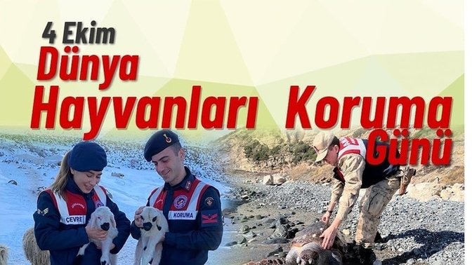 4 Ekim Dünya Hayvanlar Günü! Muhtaç Hayvanlar için ne yapılmalı?