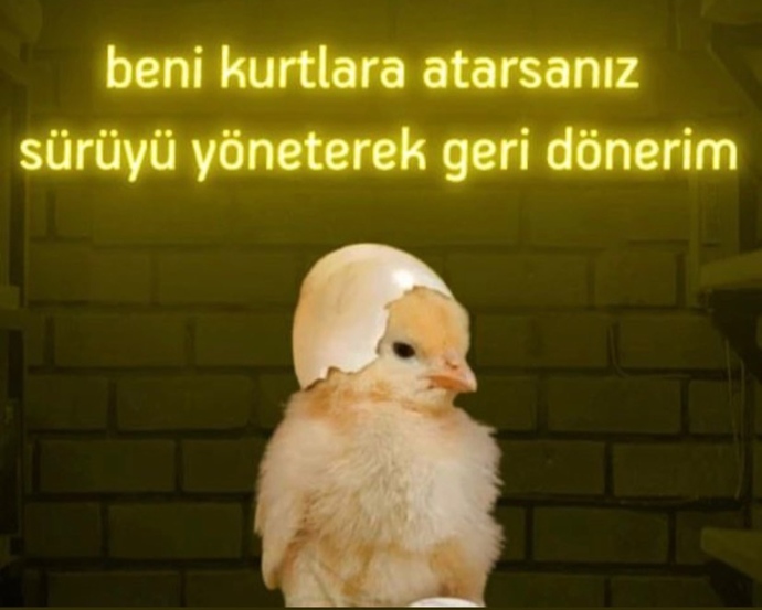 En son dilediğiniz dilek benim başıma gelse ne gelmiş olurdu?