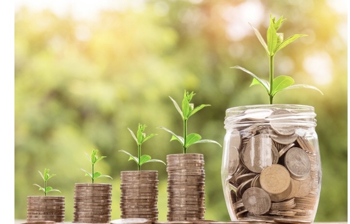Elimdeki parayı nasıl bir yatırımda değerlendirebilirim🧐?