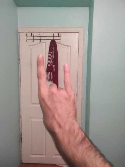Öğrenmek İçin bu hareketi yapmayı deneyin. Palmaris Longus kasınız var mı?