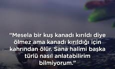 Sizi bazen anlamakta zorluk çekiyorlar mı?