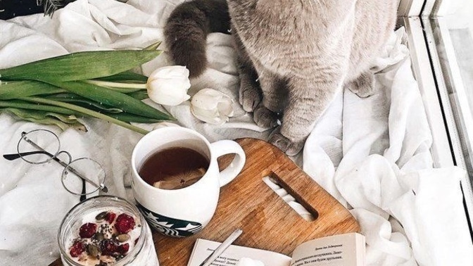 Kitaba en iyi ne eşlik eder?