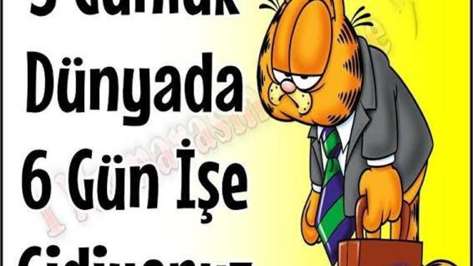 Her gün işe gitmekten sıkılan var mı?