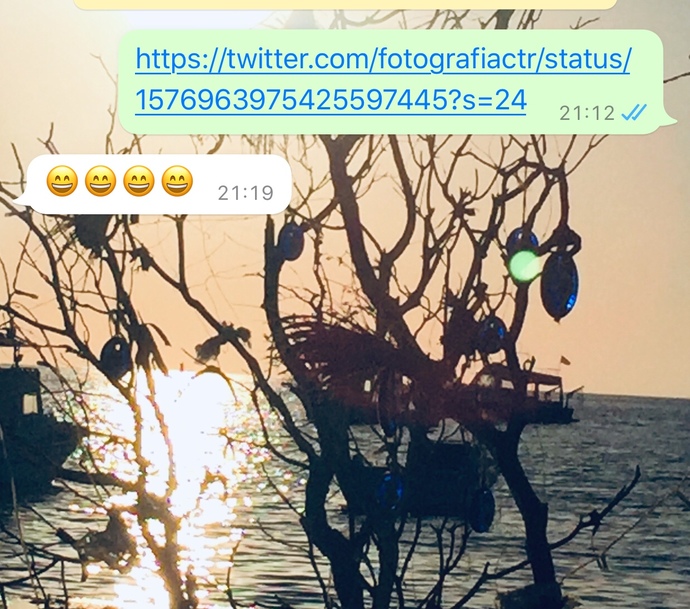 Sosyal deney yapıyor musunuz?