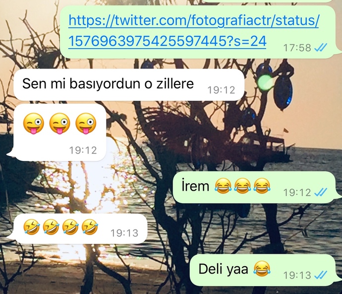 Sosyal deney yapıyor musunuz?