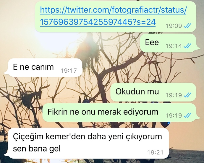 Sosyal deney yapıyor musunuz?