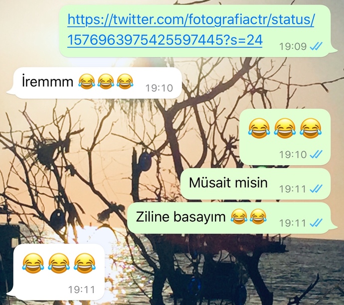 Sosyal deney yapıyor musunuz?