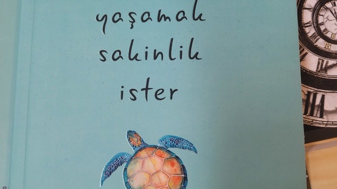 Sizce hangi kitabi alayim acil cevap canimlar 🥰🥰?