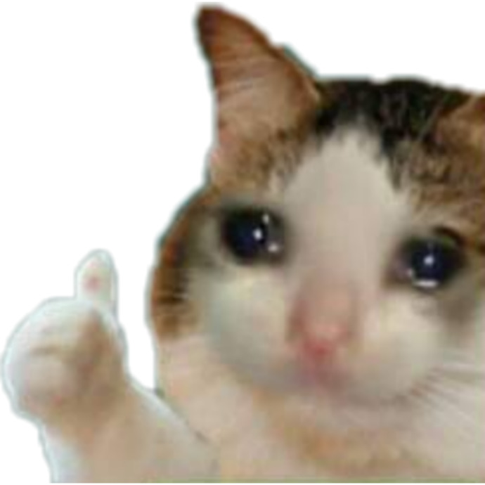 En sevdiğiniz kedi cinsi nedir?