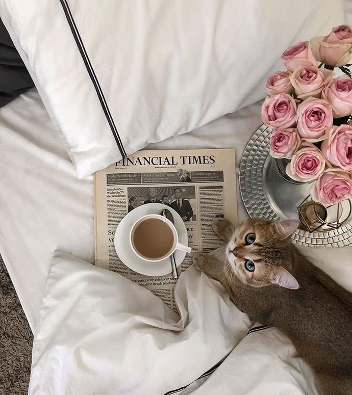 bi’kahve bi de şöyle bi’ minnoş 😻🤎