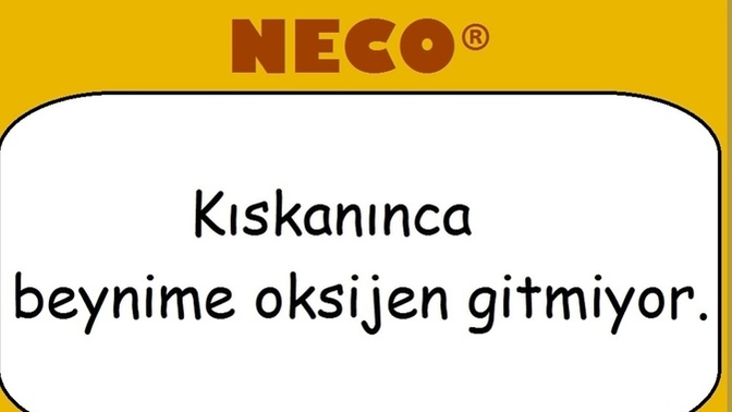 Kıskanınca neler yaparsınız?