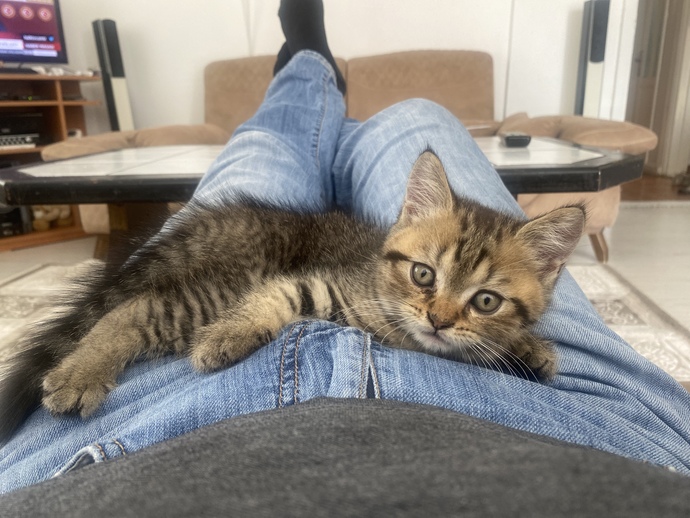 Ne yapıyorsunuz mesela bu saatte?