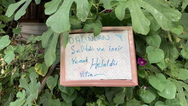 Canı şeftali çekenler için bahçe duvarına astığı yazı görenleri duygulandırdı! Bahçeniz olsaydı siz de bu yazıyı asar mıydınız?