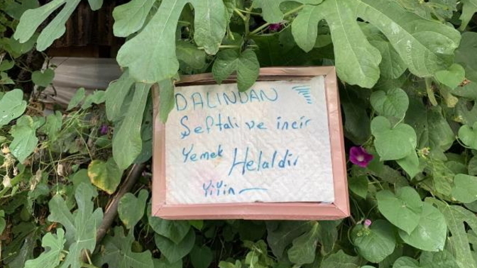 Canı şeftali çekenler için bahçe duvarına astığı yazı görenleri duygulandırdı! Bahçeniz olsaydı siz de bu yazıyı asar mıydınız?
