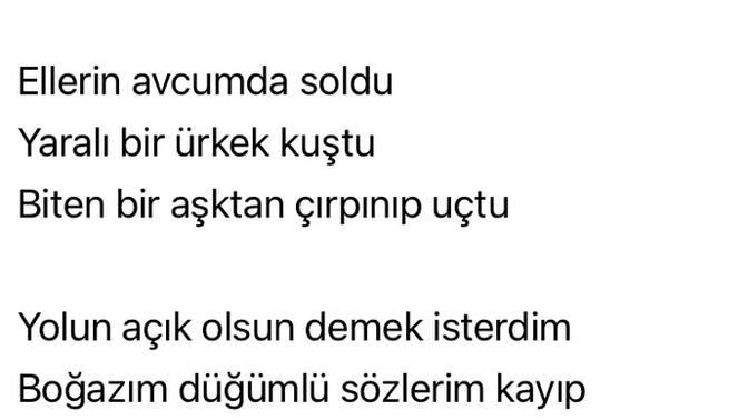 Sizin bugün içinizden hangi şarkı geçiyor?
