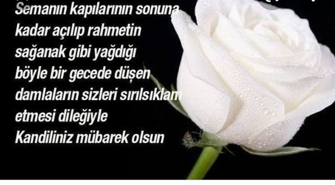 Bunu atıcam şimdi ağzi dualılar dua edin de barışalım