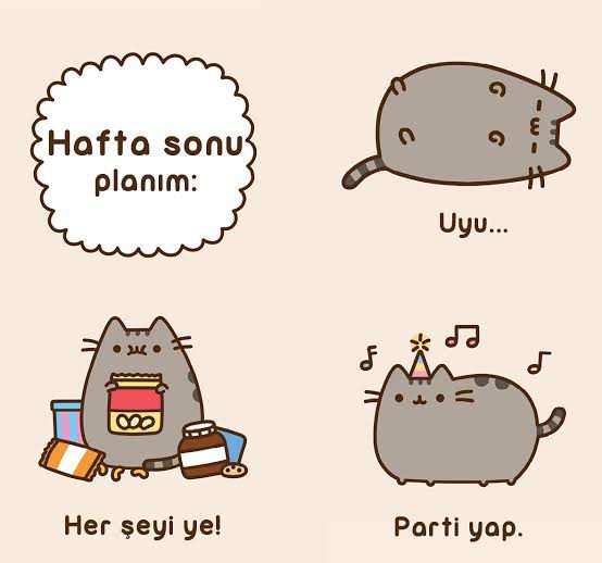 Hafta sonu ne yapmayı düşünüyorsunuz? Planınız var mı?