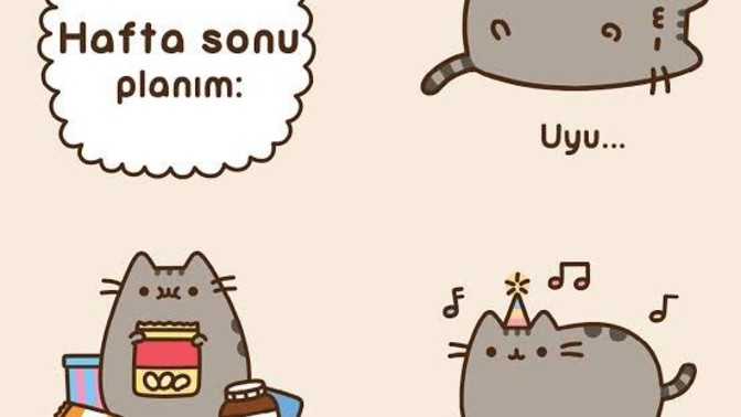 Hafta sonu ne yapmayı düşünüyorsunuz? Planınız var mı?