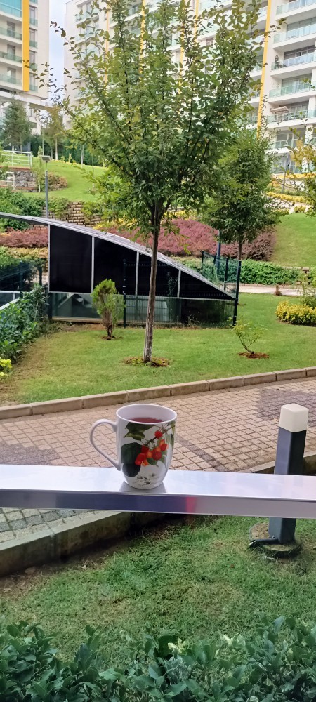 Evinizin manzarası nasıl?