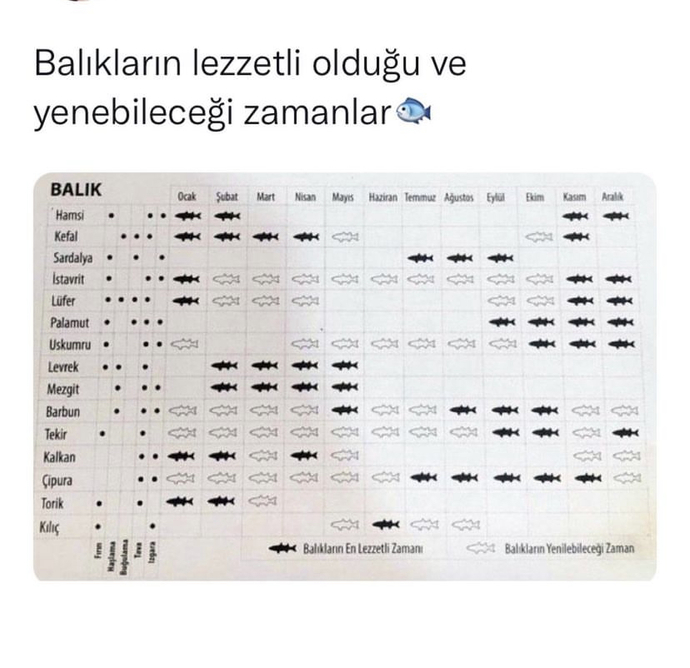 En güzel balık hangi Dönem yenir biliyor muydunuz?