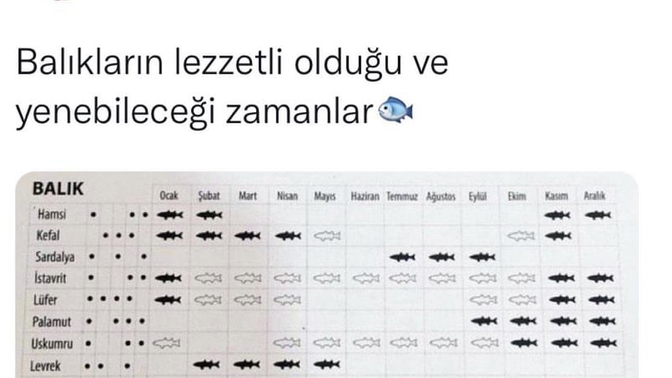 En güzel balık hangi Dönem yenir biliyor muydunuz?