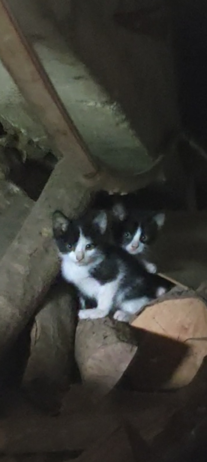 Kitap okurken bazı sayfaları not alır veya fotoğrafını çeker misiniz?