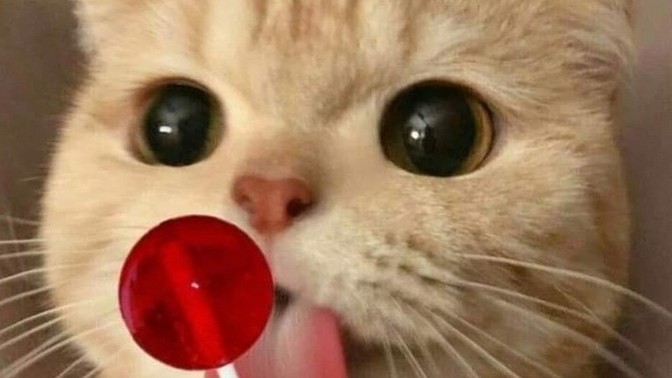 Sevimli misiniz yoksa sevimsiz çekilmez misiniz?