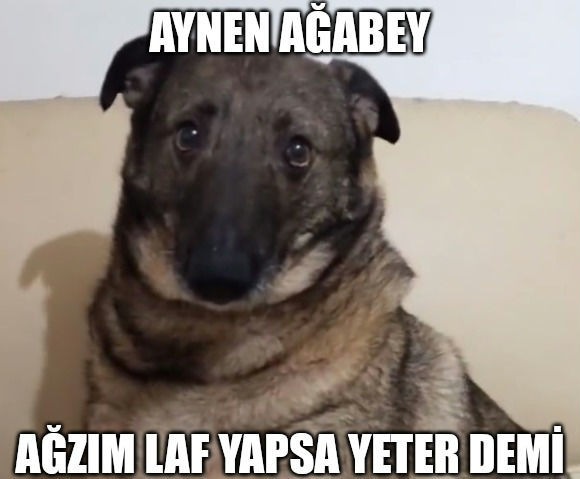 İlk adımı atmaktan korkar mısınız?