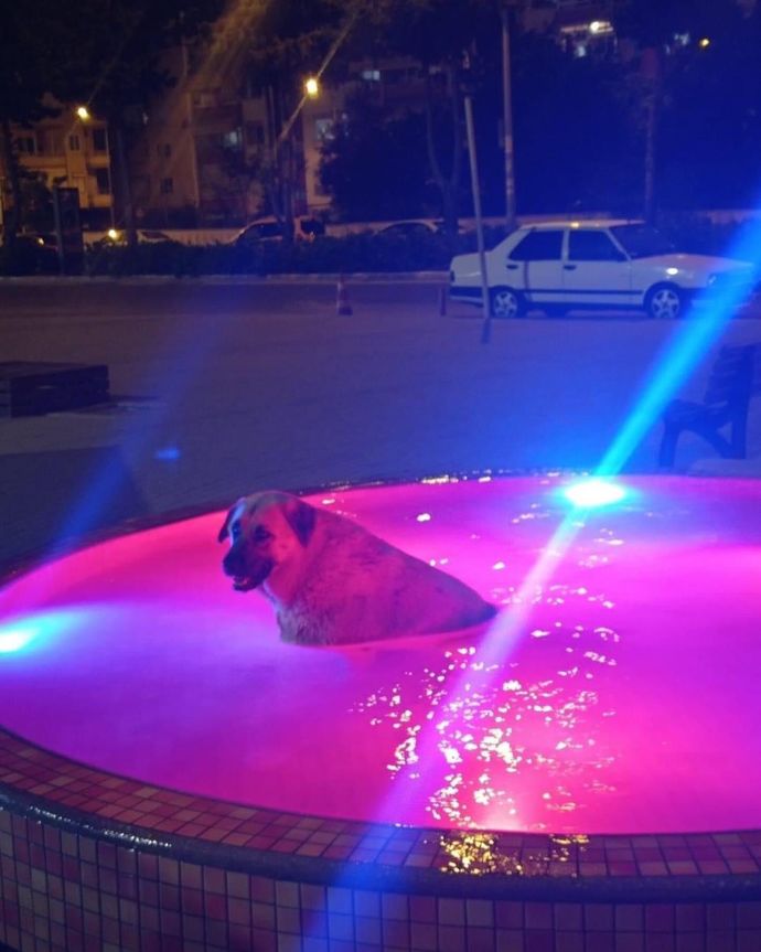 Gece gezmeyi sever misiniz?