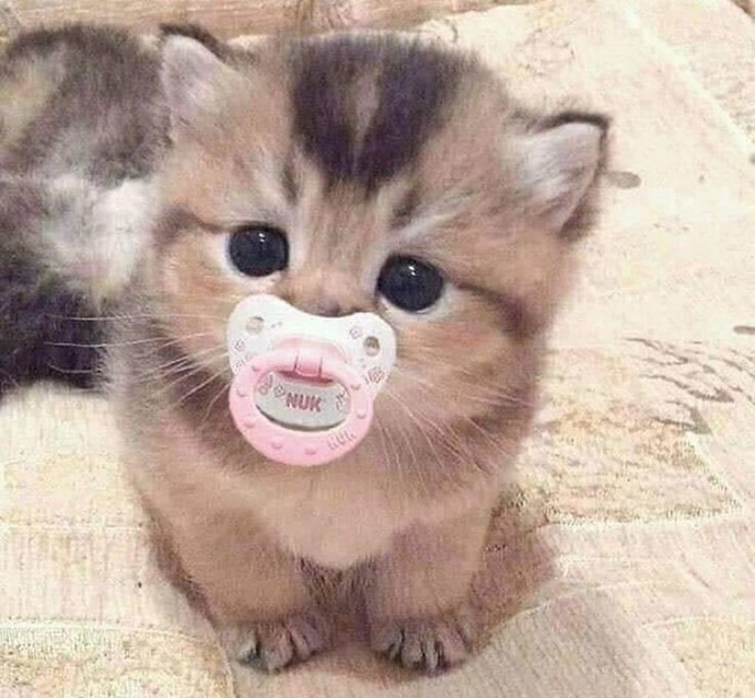 🥺😄