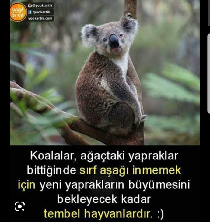 Ruhunda hangi hayvan yatıyor, söyleyeyim mi?