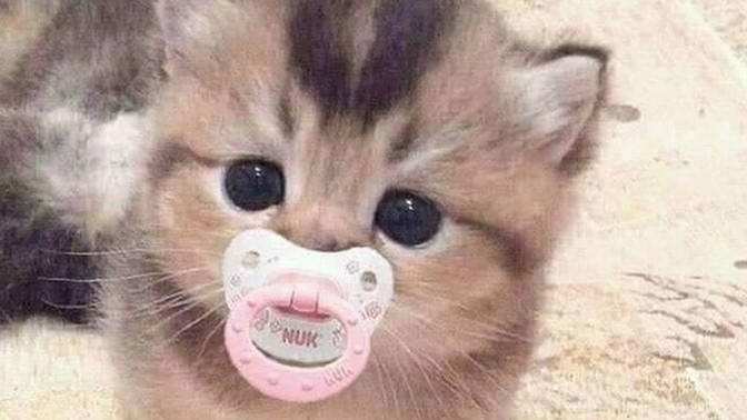 Ruhunda hangi hayvan yatıyor, söyleyeyim mi?