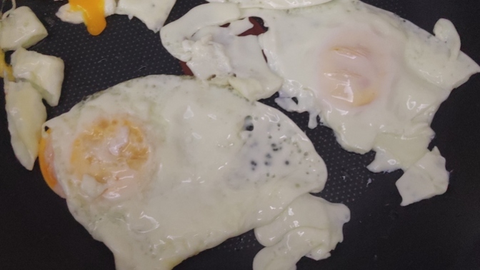 Yaptığım yumurta nasıl olmuş?