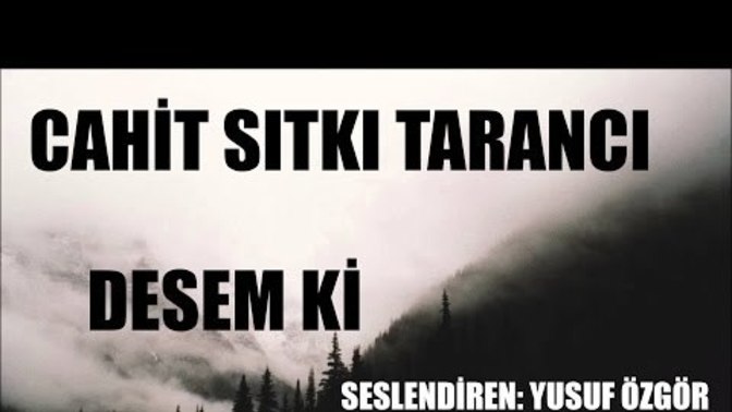 Şu şiir okunsa çok etkilenirdim ya da  şu şiirle etkilerdim dediğiniz şiir hangisi?