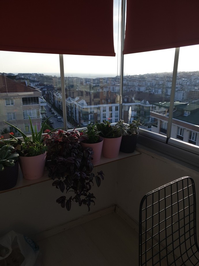 Sizin için aşkın tanımı nedir?