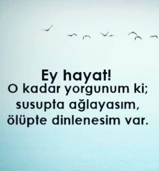 Güzel bulduğunuz bir sözü yoruma bırakır mısınız?
