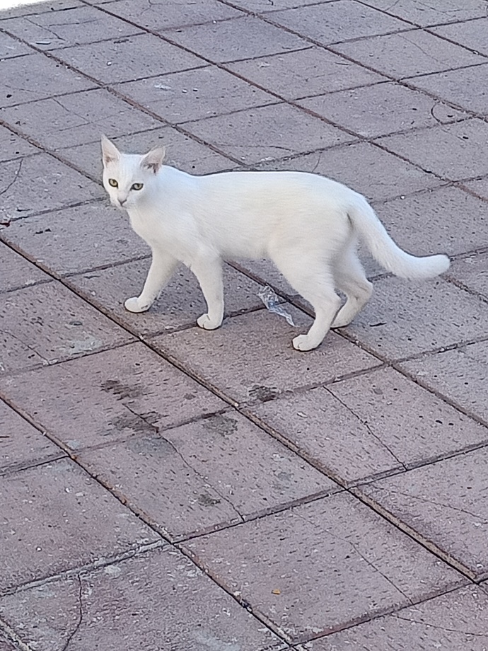 Sizce de çok tatlı değil mi?