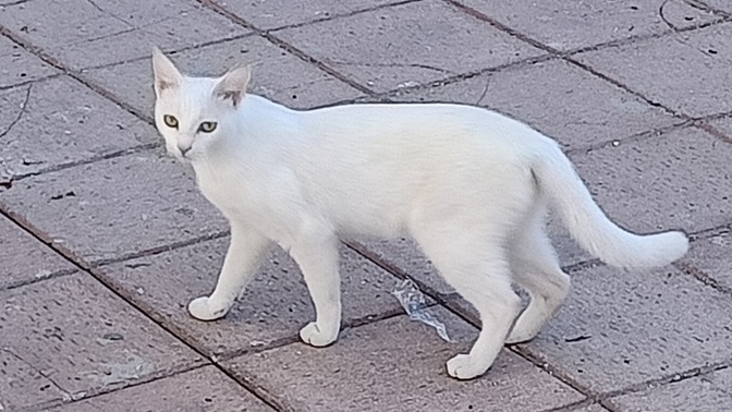 Sizce de çok tatlı değil mi?