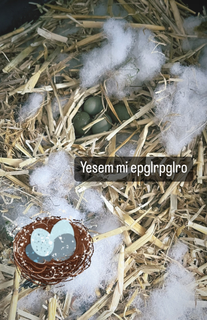 Ama üzerinde yatmıyorlardı bilmiyorum 🤷♀️