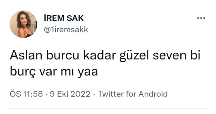 Aslan burcu kadar güzel seven bir burç var mı?