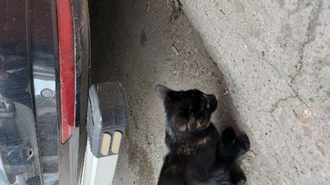 Merhabalar neler yapıyorsunuz bugün?